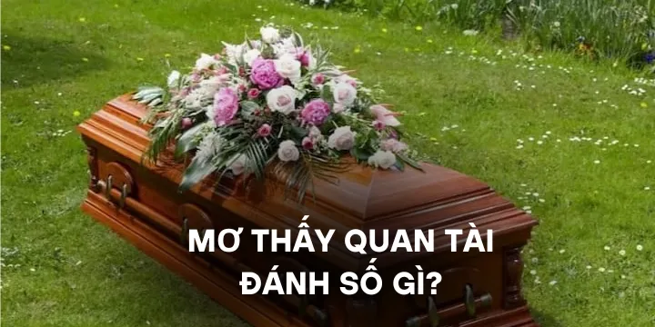 Mơ thấy quan tài đánh số gì? Cặp số may mắn giúp bạn dễ trúng lớn