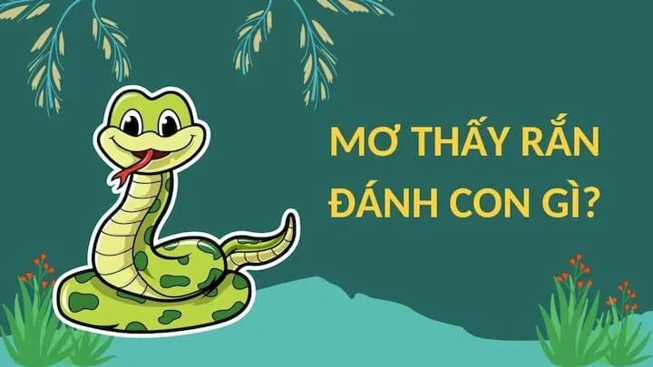 Mơ thấy rắn đánh con gì để trúng lớn khi chơi lô đề?